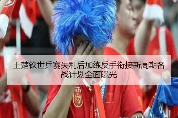 王楚钦世乒赛失利后加练反手衔接新周期备战计划全面曝光